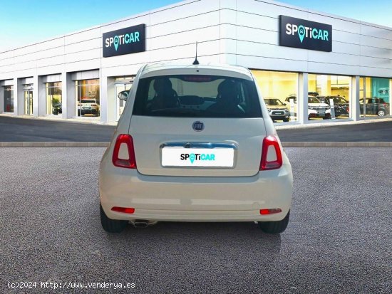 Fiat 500 500 1.2 8V 51KW (69 CV) Lounge - Cadiz