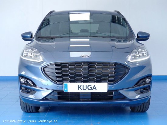 Ford Kuga ST-Line 1.5T EcoBoost 110kW (150CV) - Ávila