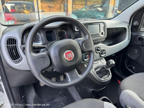 Fiat Panda 1.0 hybrid - Palma