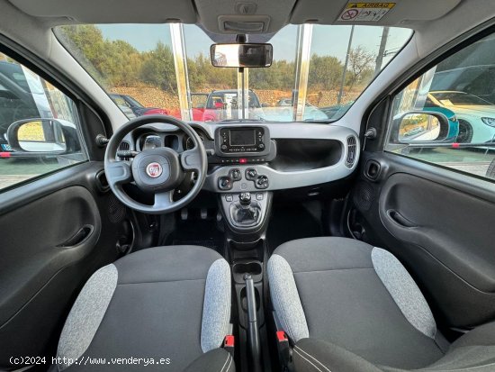 Fiat Panda 1.0 hybrid - Palma