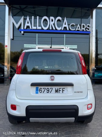 Fiat Panda 1.0 hybrid - Palma