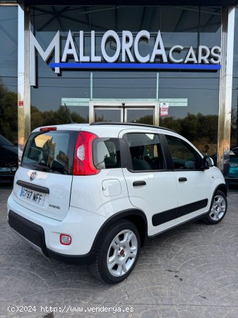 Fiat Panda 1.0 hybrid - Palma