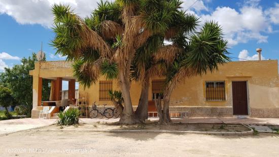 CASA DE CAMPO EN DON BALBINO - ALICANTE