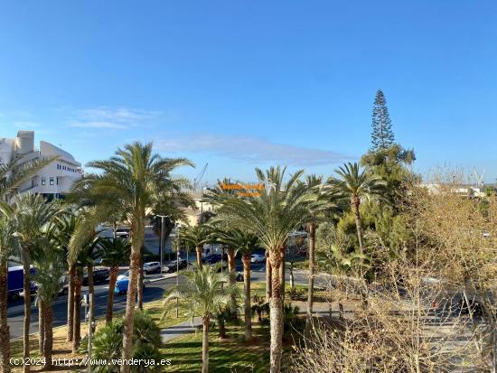  ESPECTACULAR PISO EN VENTA FRENTE AL PUERTO DE ALICANTE!! - ALICANTE 