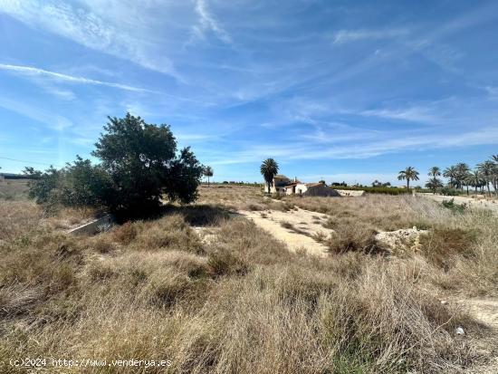 EN VENTA TERRENO JUNTO A LA CTRA.DE SANTA POLA DE 45.000 METROS - ALICANTE