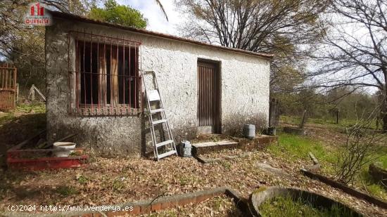 FINCA RÚSTICA DE 6.000 M2 CON GALPÓN Y POZO EN COLES (OURENSE) - ORENSE