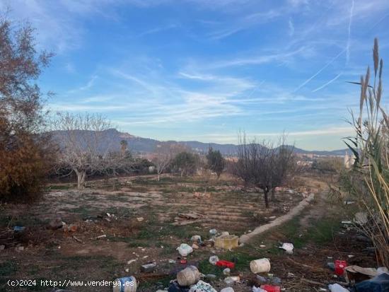 TERRENO AGRICOLA EN LA C/ PLÁ , 10.000.- M2 APROX - BARCELONA