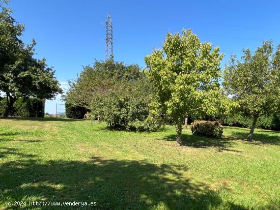 Terreno urbano de 1200 m2 en Liaño 🌳🌳🌳 - CANTABRIA