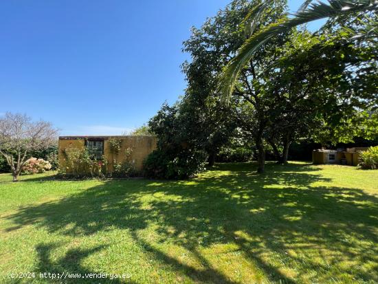 Terreno urbano de 1200 m2 en Liaño 🌳🌳🌳 - CANTABRIA