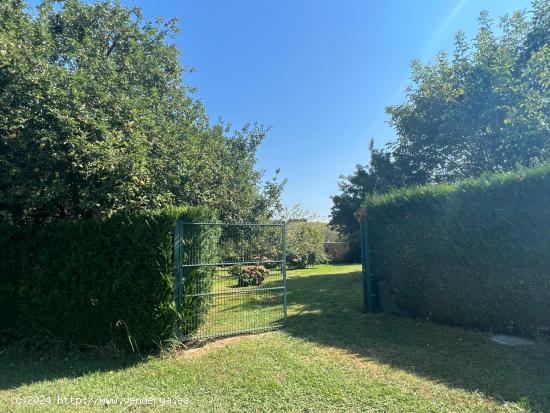 Terreno urbano de 1200 m2 en Liaño 🌳🌳🌳 - CANTABRIA