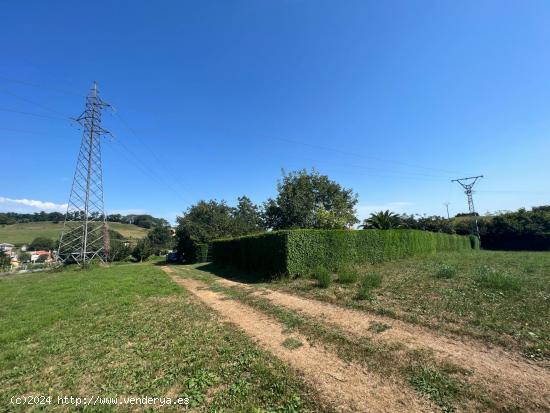 Terreno urbano de 1200 m2 en Liaño 🌳🌳🌳 - CANTABRIA