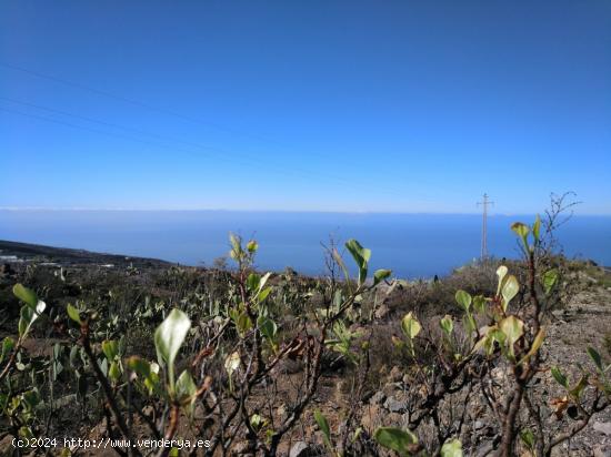 Terreno en La Concepción - Adeje - SANTA CRUZ DE TENERIFE