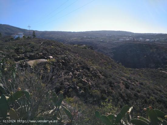 Terreno en La Concepción - Adeje - SANTA CRUZ DE TENERIFE