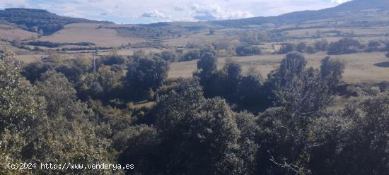 TERRENO URBANIZABLE DE CASI 6 HECTAREAS - BURGOS