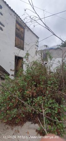 Guia Isora. Medianias. Casa con terreno a restaurar - SANTA CRUZ DE TENERIFE