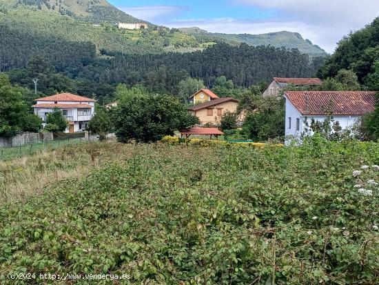 SE VENDE PARCELA URBANA EN UDALLA (CANTABRIA) - CANTABRIA