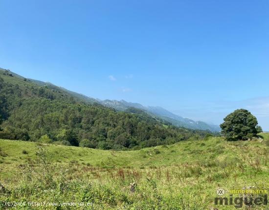 Se vende espectacular finca con vistas al mar en Noriega, Ribadedeva (V2441) - ASTURIAS