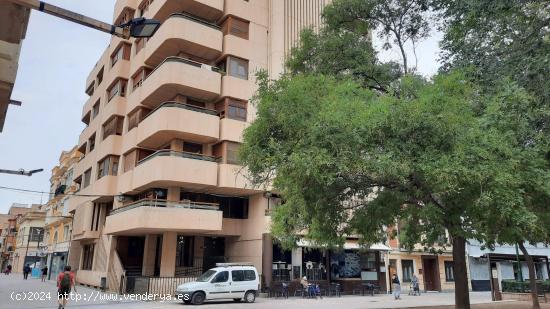 VIVIENDA CON VISTAS AL PARQUE - ALBACETE