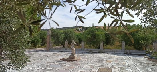 CASA RURAL CON PARCELA DE 4 HECTAREAS EN ARCOS DE LA FRONTERA - CADIZ