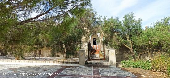 CASA RURAL CON PARCELA DE 4 HECTAREAS EN ARCOS DE LA FRONTERA - CADIZ