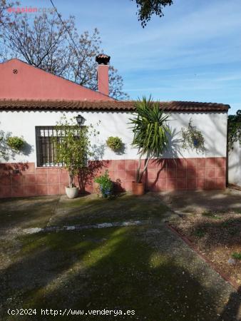 PARCELA EN ZONA CAMINO VIEJO DE ALMODOVAR CON PISCINA Y TERRENO DE 3000m2 - 226.000€ - - CORDOBA