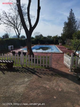 PARCELA EN ZONA CAMINO VIEJO DE ALMODOVAR CON PISCINA Y TERRENO DE 3000m2 - 226.000€ - - CORDOBA