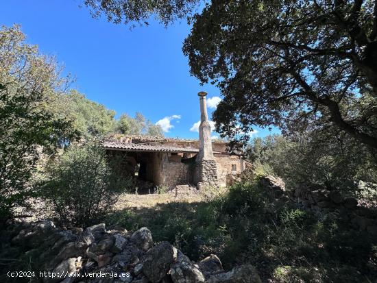 Se vende terreno con casa agrícola a reformar - BALEARES