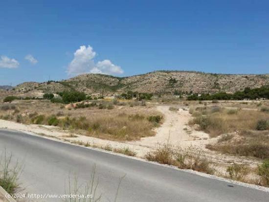 TERRENO TIPO SOLAR EN ELDA - ALICANTE