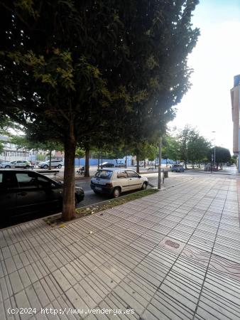 SE VENDE APARTAMENTO EN LA AV DE LA MARTINA - LEON