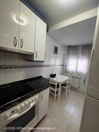 SE VENDE APARTAMENTO EN LA AV DE LA MARTINA - LEON