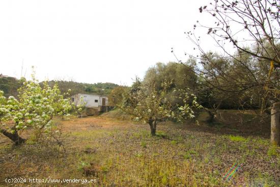 Finca rústica con casa de apero a tan solo 5 minutos de Coín en coche. - MALAGA