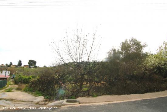 Finca rústica con casa de apero a tan solo 5 minutos de Coín en coche. - MALAGA