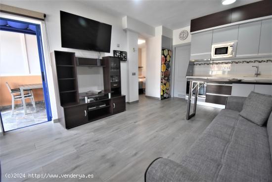 Apartamento con dos terrazas y vistas al mar se alquila desde junio a septiembre en Taurito. - LAS P