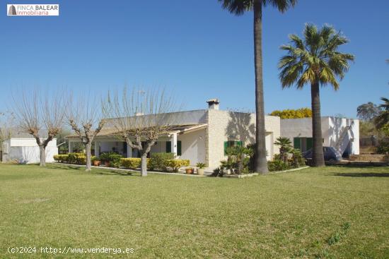 MAGNIFICA FINCA RÚSTICA JUNTO A LA RESERVA NATURAL DE S`ALBUFERA DEL PUERTO DE ALCUDIA - BALEARES