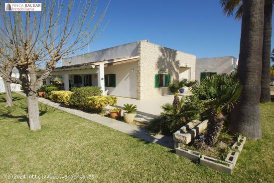 MAGNIFICA FINCA RÚSTICA JUNTO A LA RESERVA NATURAL DE S`ALBUFERA DEL PUERTO DE ALCUDIA - BALEARES