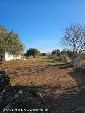 CASA CON TERRENO ENTRE LA RÀPITA Y AMPOSTA - TARRAGONA