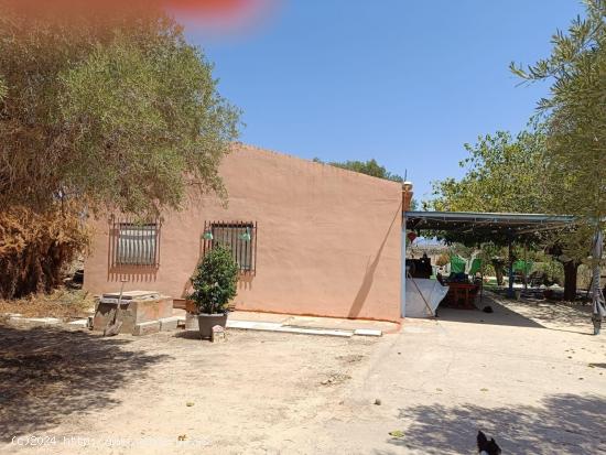 OPORTUNIDAD, CASA CON TERRENO Y PISCINA - ALICANTE