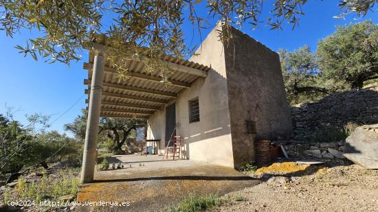 Finca de 36.169 M2, con dos casetas de aperos y vistas al mar - TARRAGONA