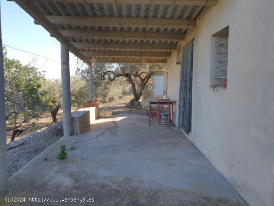 Finca de 36.169 M2, con dos casetas de aperos y vistas al mar - TARRAGONA