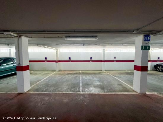 PLAZA DE PARKING - ZONA PASEO MARÍTIMO DEL PUERTO DE ALCUDIA - BALEARES