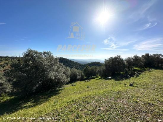  ZONA ASSUAN - Fantástica parcela de 2.700m con olivos, en plena sierra. Sólo 22.000€!! - CORDOBA 