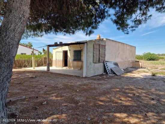  CASITA DE CAMPO PARA REFORMA INTEGRAL EN EL CAMPO DE ELCHE - ALICANTE 