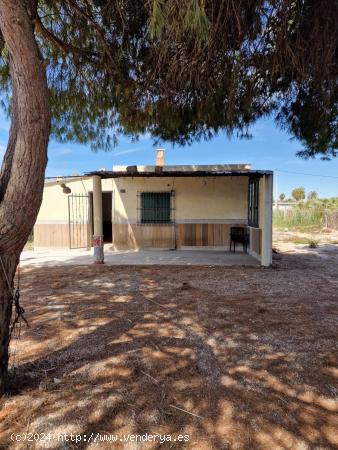 CASITA DE CAMPO PARA REFORMA INTEGRAL EN EL CAMPO DE ELCHE - ALICANTE