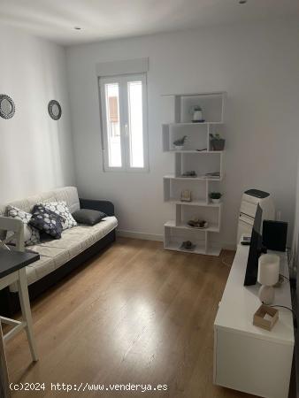 Apartamento entero de 1 habitaciones en Madrid - MADRID