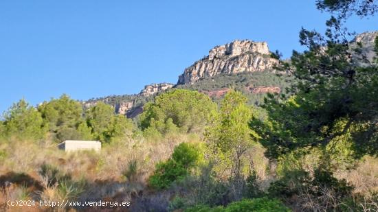 ¡ Se vende parcela en Alforja con hermosas vistas ! - TARRAGONA