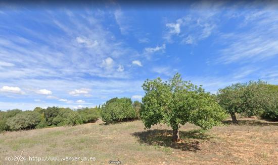 Terreno con proyecto de vivienda unifamiliar y piscina en Felanitx - BALEARES