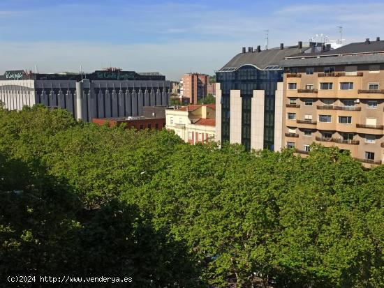 PASEO ZORRILLA - VALLADOLID