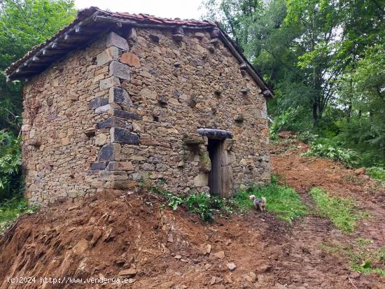 Venta de Terreno Rústico en la Falda del Aramo - Ideal para Agricultura y Ganadería - ASTURIAS