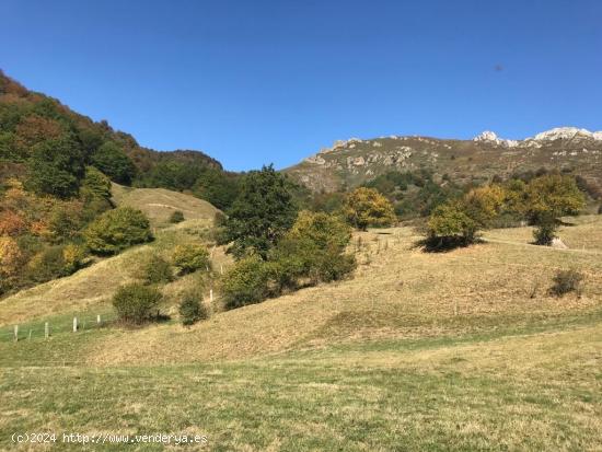 Terreno en Dobres- Ranes, Vega de Liébana. - CANTABRIA