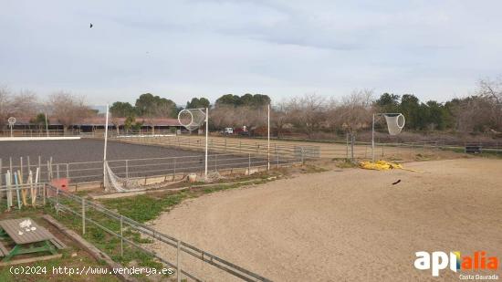 FINCA RUSTICA EN REUS (MIGJORN) - TARRAGONA